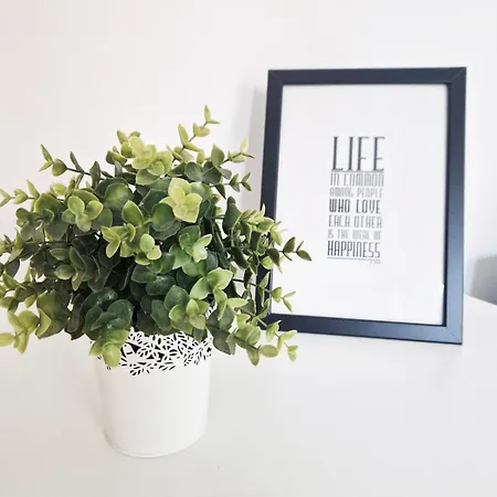 Casa Ledrugge 100m From The Sea Darsena *